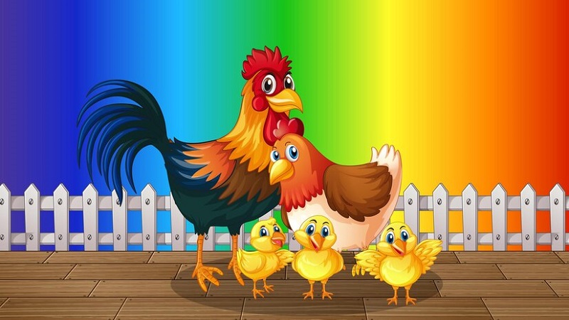 Complete Information About Clipart:d_ycixmirb0= Chicken