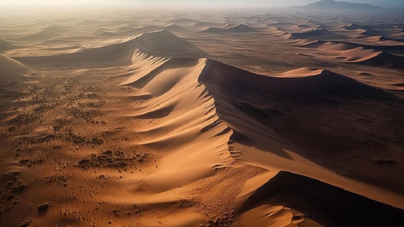 The Largest Desert in Asia: The Gobi Desert