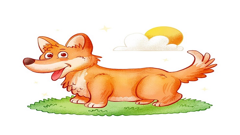 Complete Information About Drawing:u4mk-y-vriu= Corgi