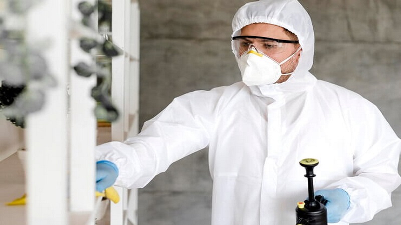 Understanding the Costs of Mold Remediation Services in Texas